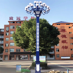 <b>2019.4鄧州市致遠(yuǎn)學(xué)校亮化工</b>